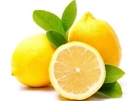 Citrona sula