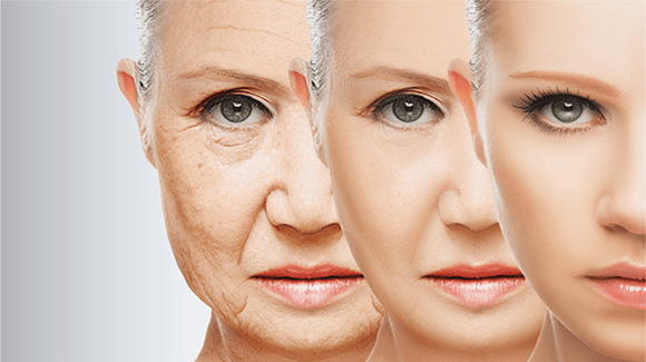 sejas ādas atjaunošanas posmi